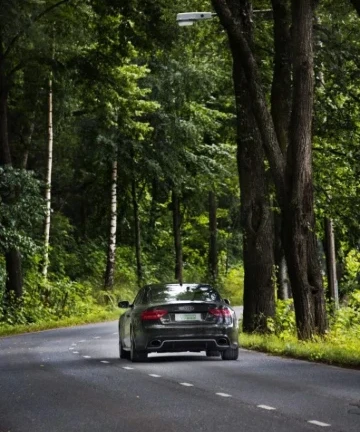 Nokian Tyres Summer Season 2014 008 683x1024
